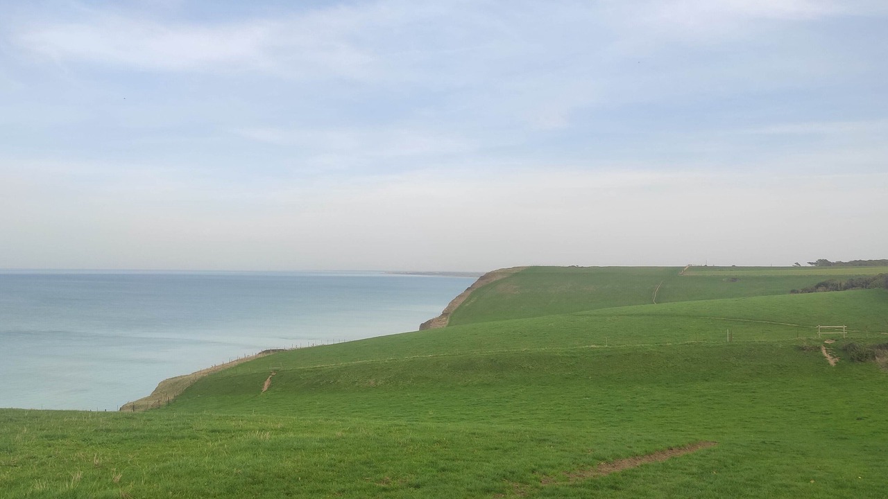 Photo of Others in Meneslies