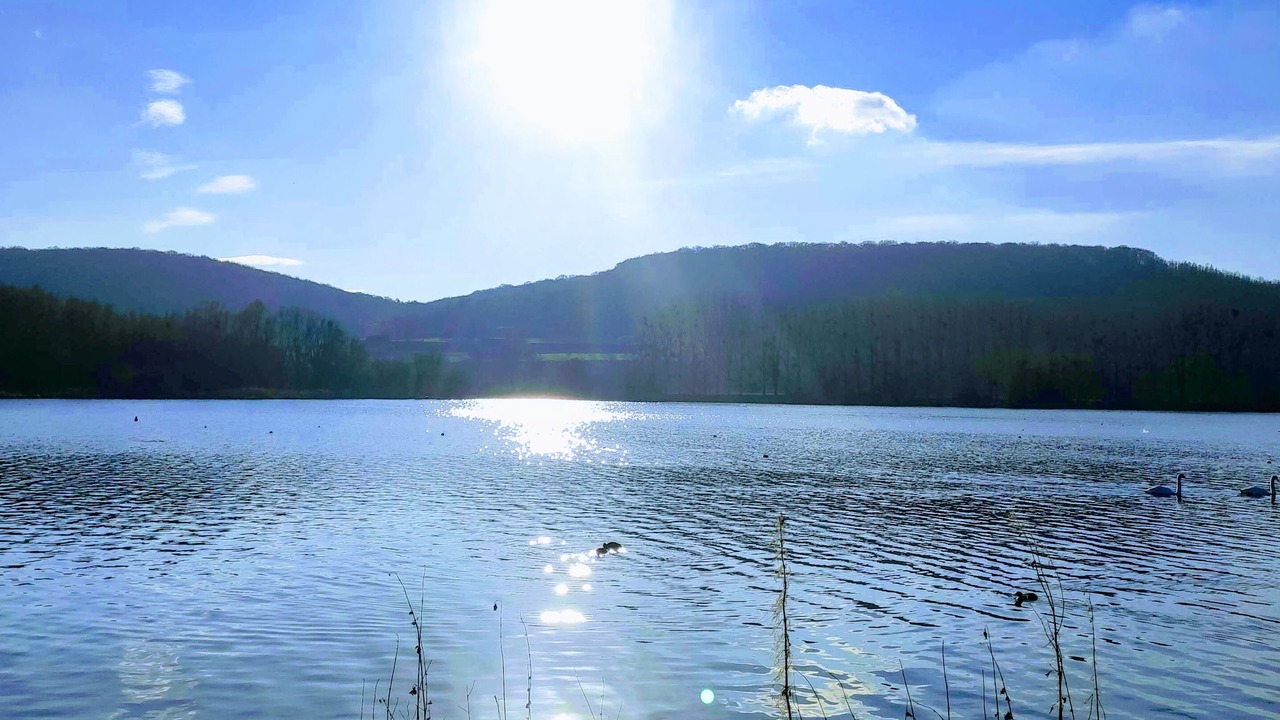 Photo of Others in Meneslies