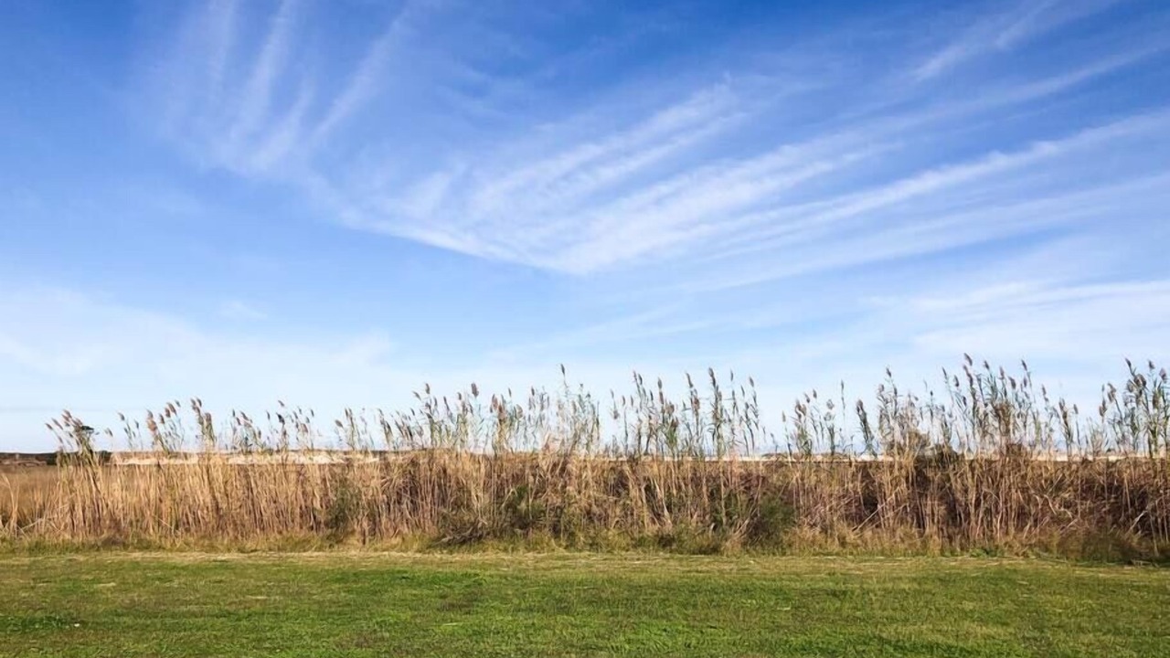 Photo of Others in Sawgrass Pointe