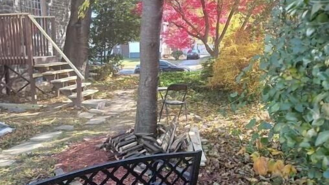 Photo of Outdoor in Upper Darby