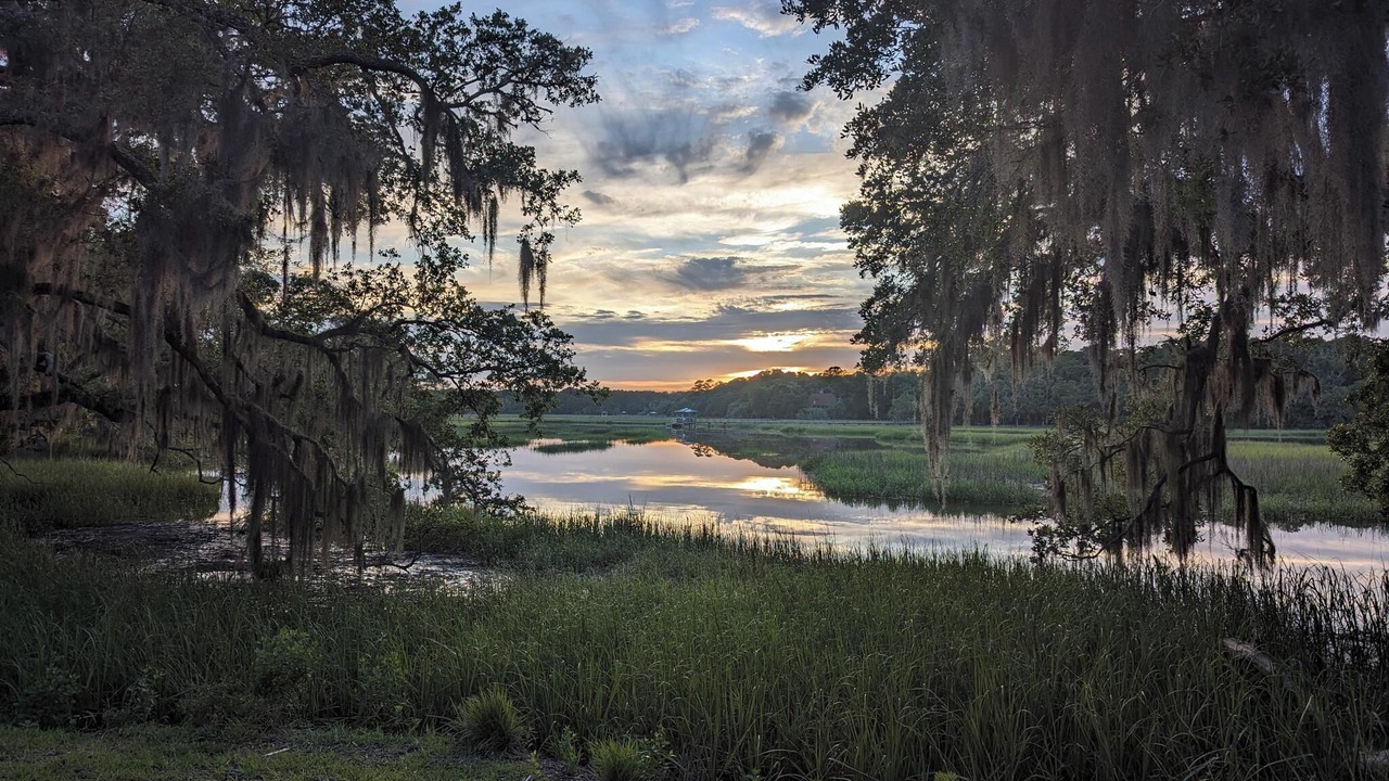 Photo of Outdoor in Edisto Island