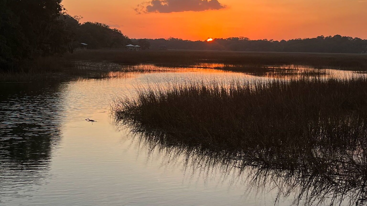 Photo of Others in Edisto Island