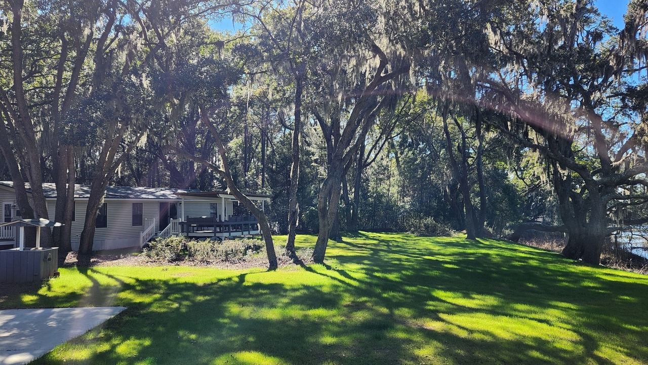 Photo of Outdoor in Edisto Island