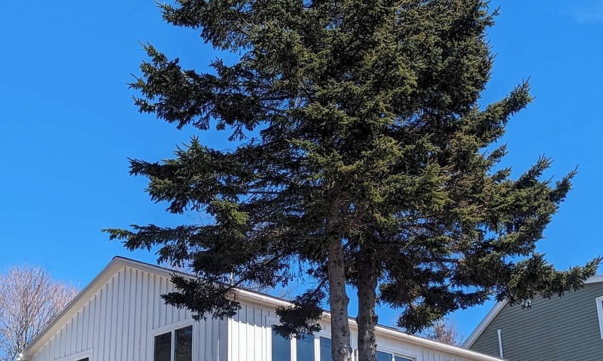 Photo of Outdoor in Bass Harbor