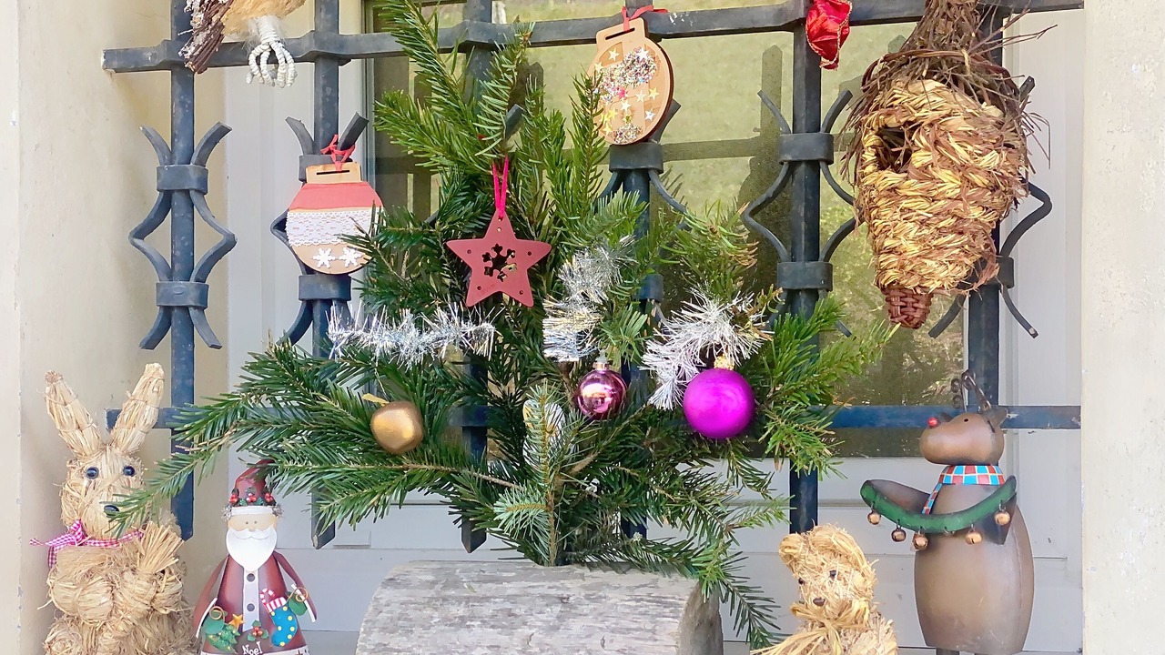 Photo of Outdoor in Saint-Laurent-du-Pont