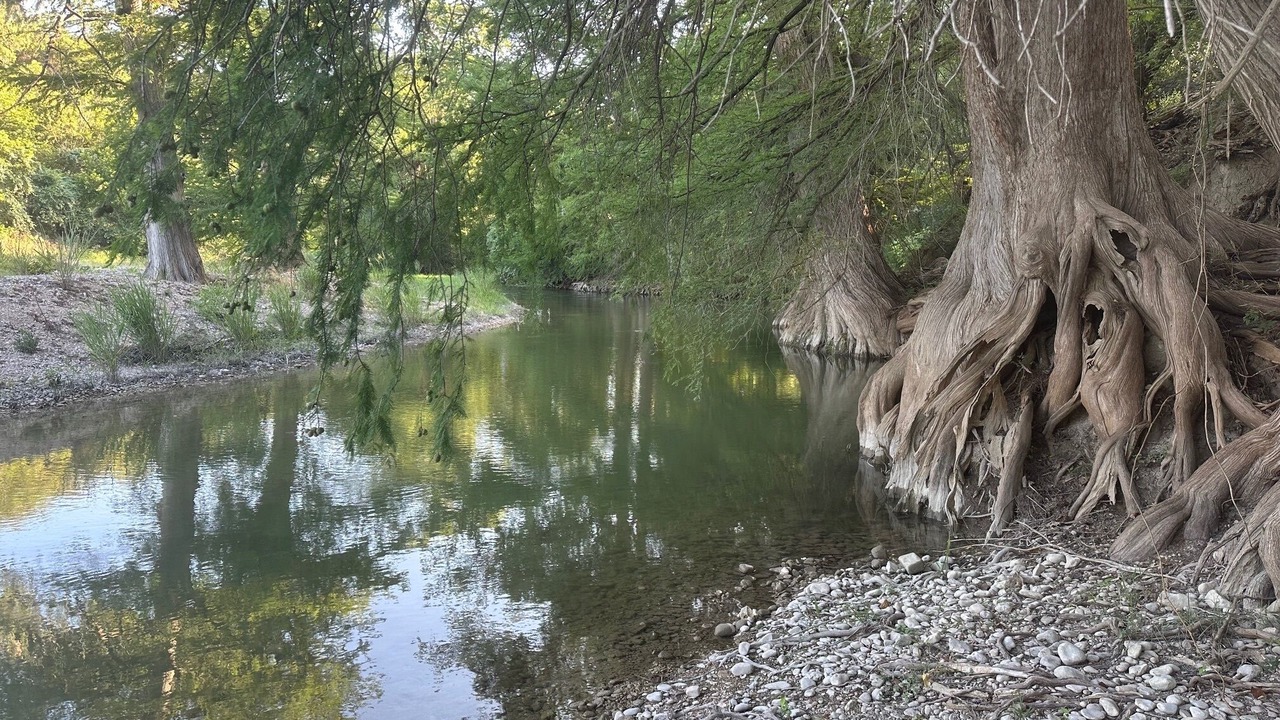 Photo of Others in Boerne