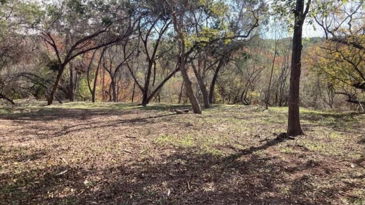 Photo of Others in Boerne