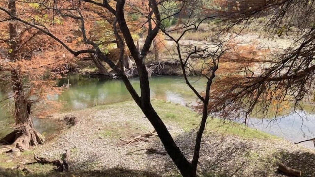 Photo of Others in Boerne