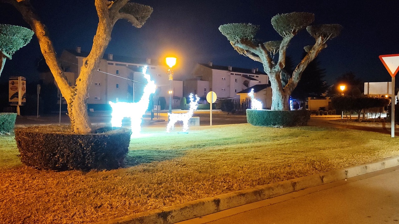 Photo of Outdoor in San Jorge