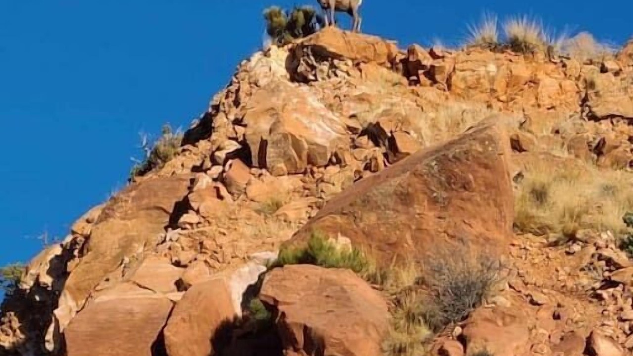 Photo of Others in Apple Valley