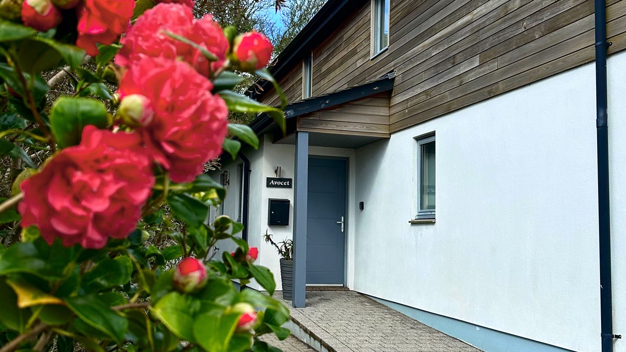 Photo of Outdoor in Lelant