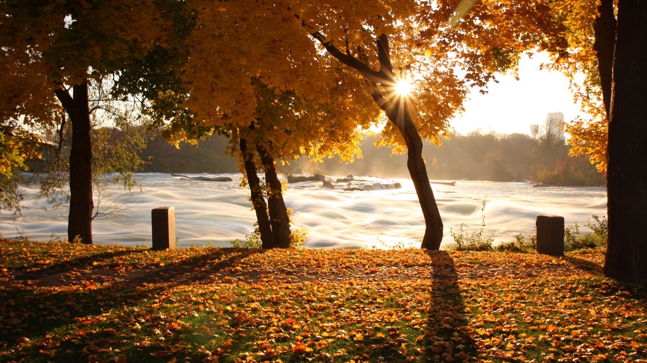 Photo of Outdoor in Downtown Niagara Falls