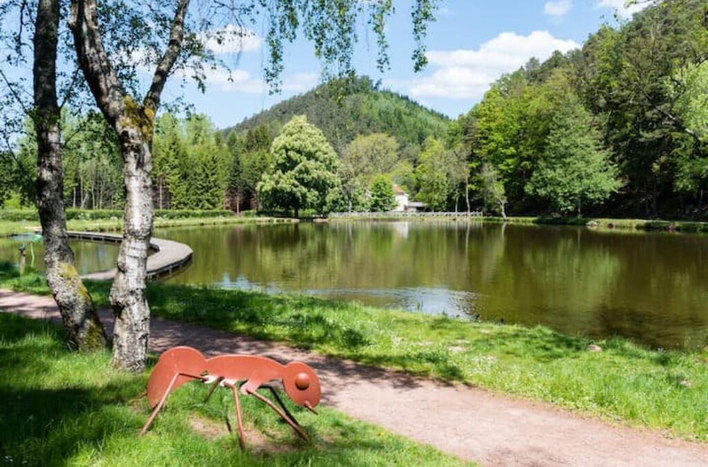 Photo of Outdoor in Bruyeres