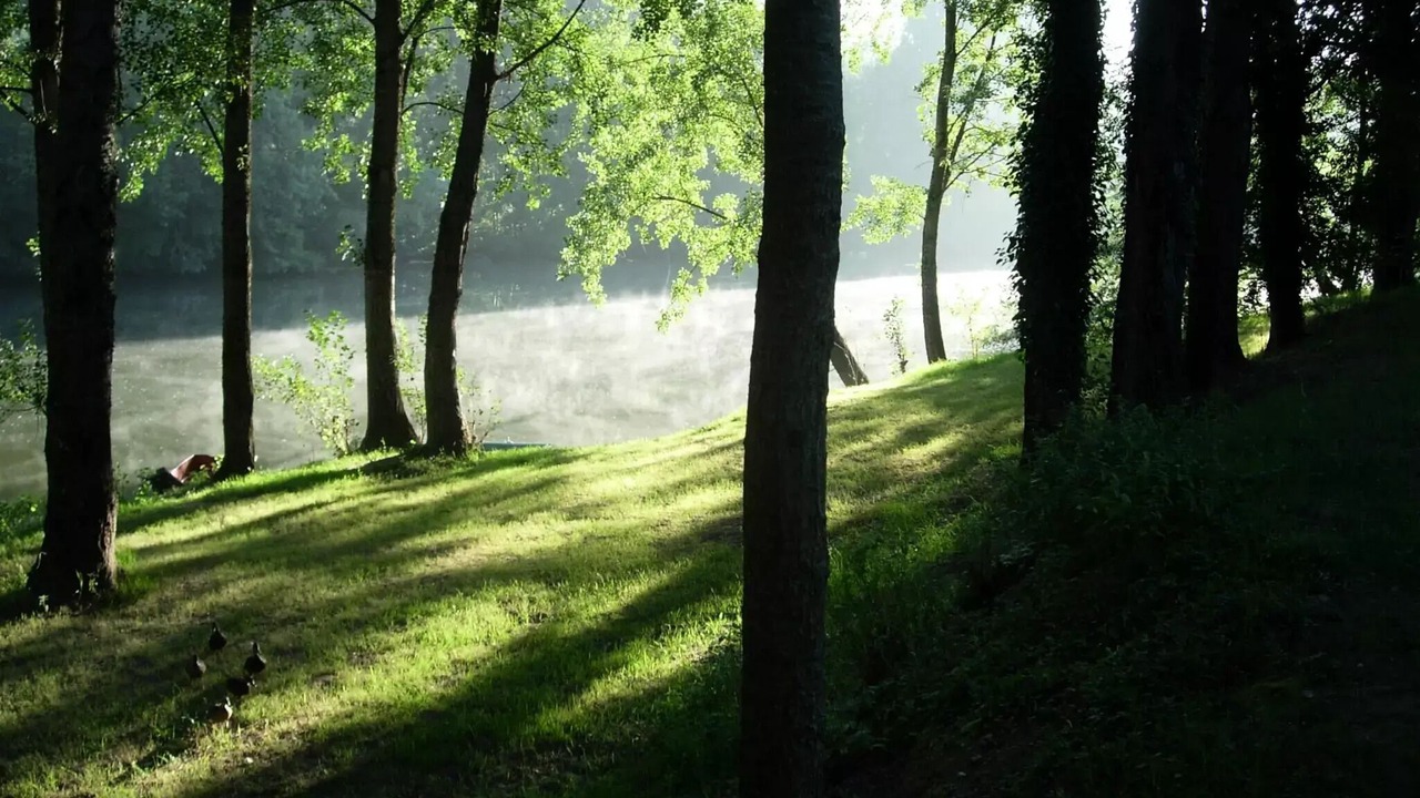 Photo of Others in Saint-Antonin Noble Val