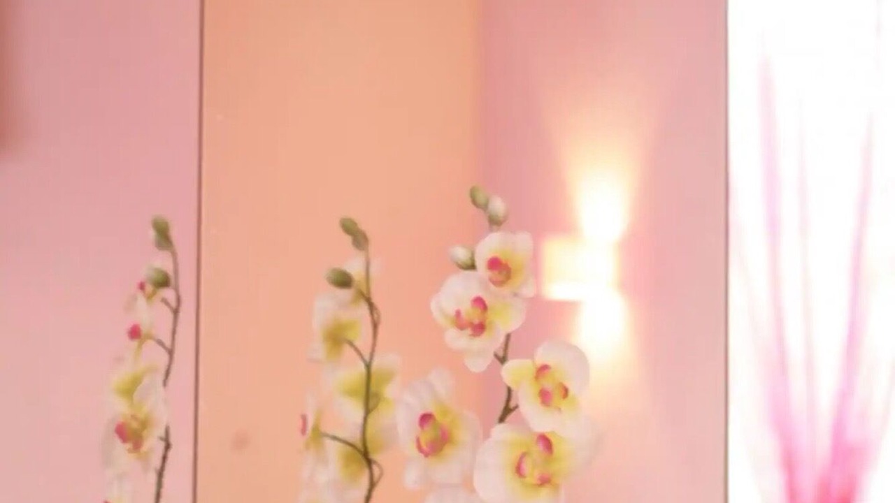 Photo of Others in Sarzeau