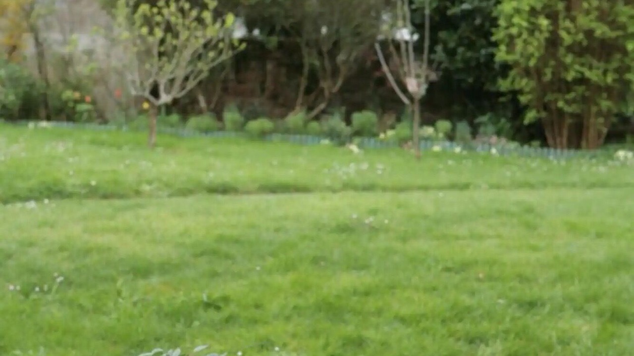 Photo of Outdoor in Sarzeau