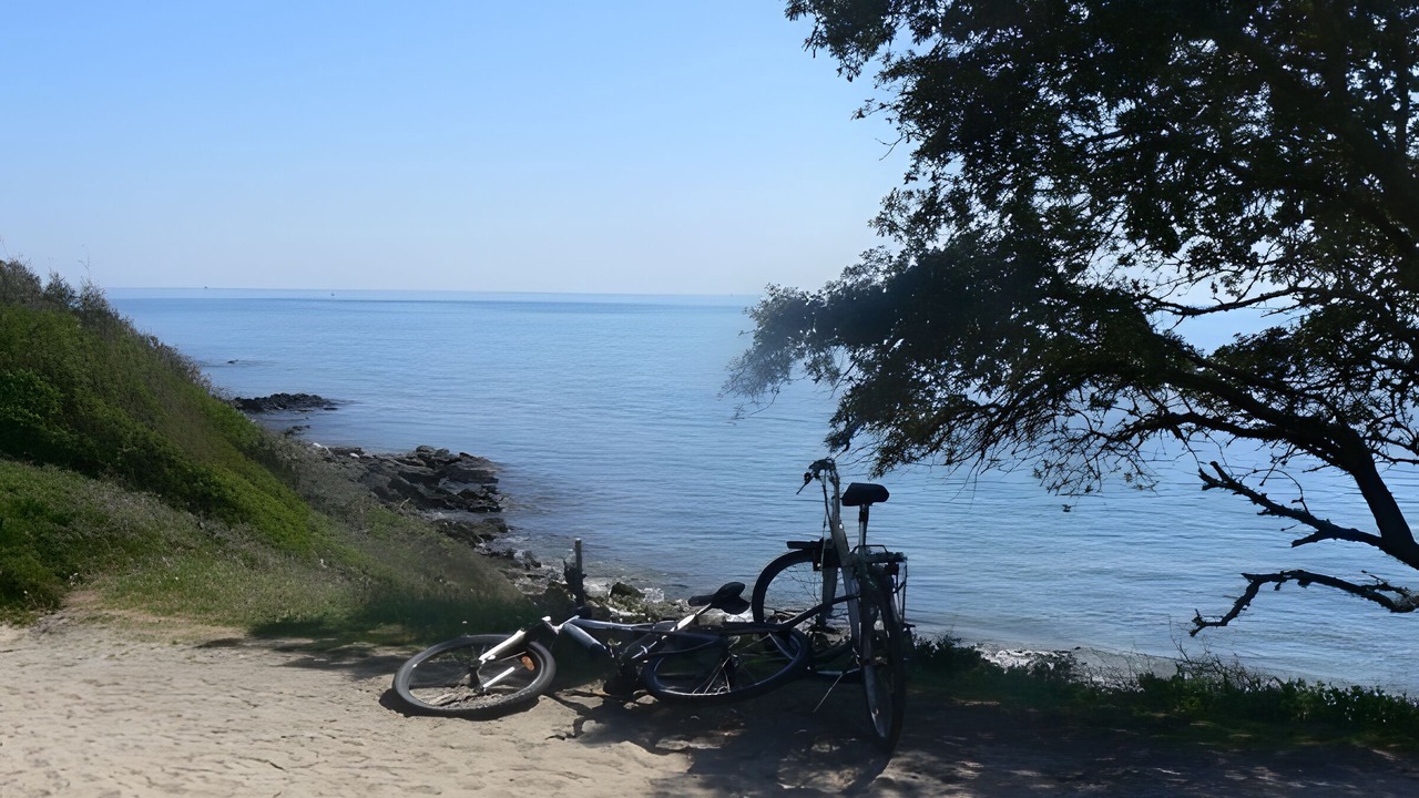 Photo of Others in Sarzeau