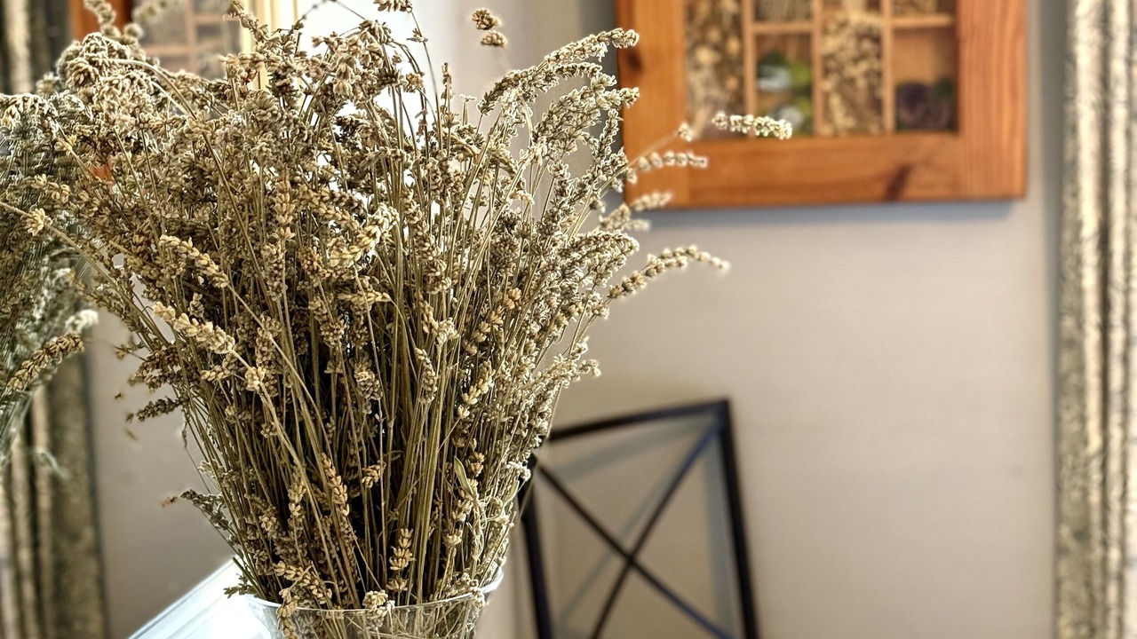 Photo of Others in Saint-Pierre-le-Moutier