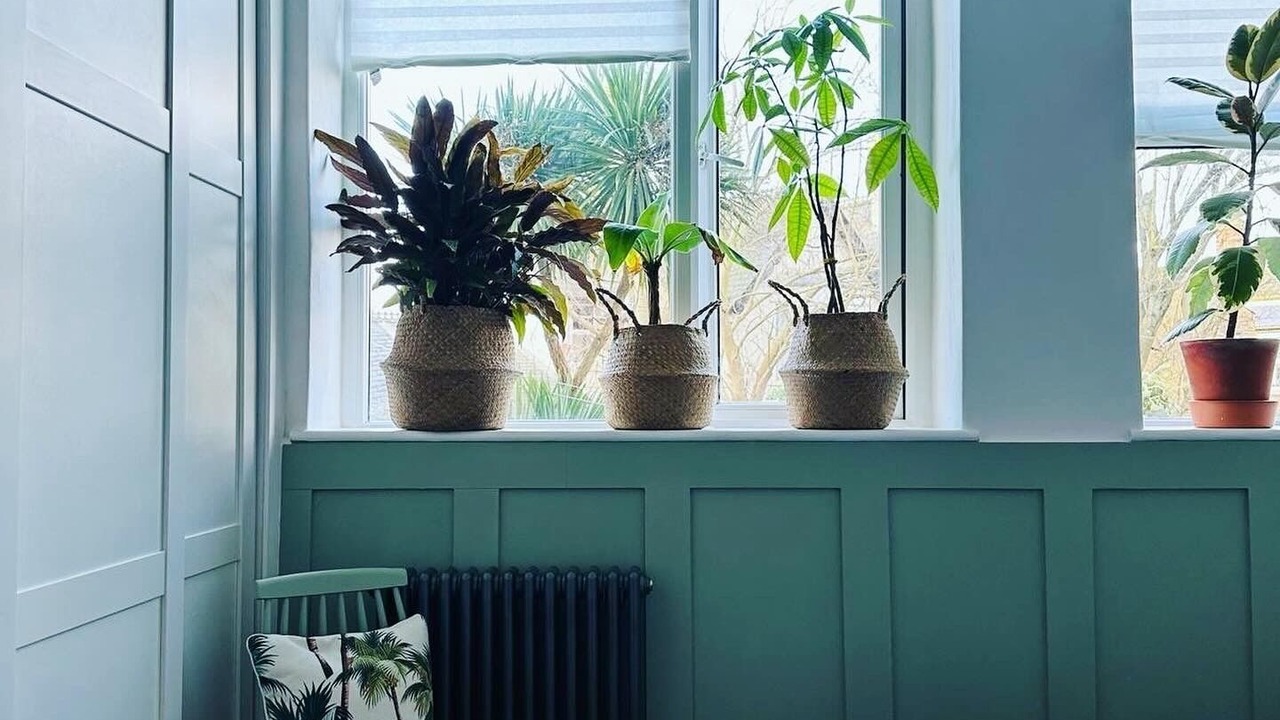 Photo of Bedroom in Folkestone