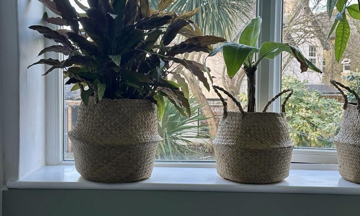 Photo of Others in Folkestone