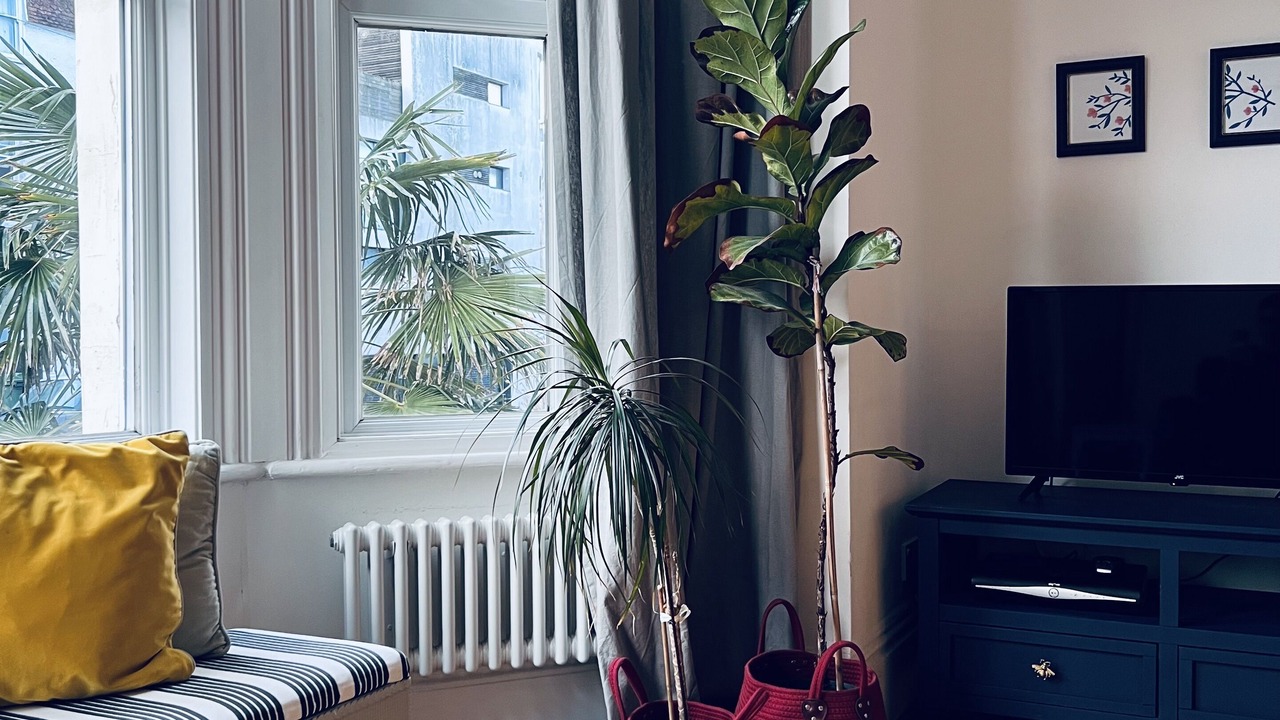 Photo of Livingroom in Folkestone