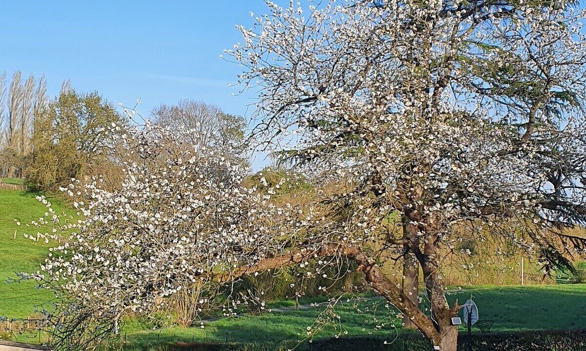Photo of Outdoor in Rouillon