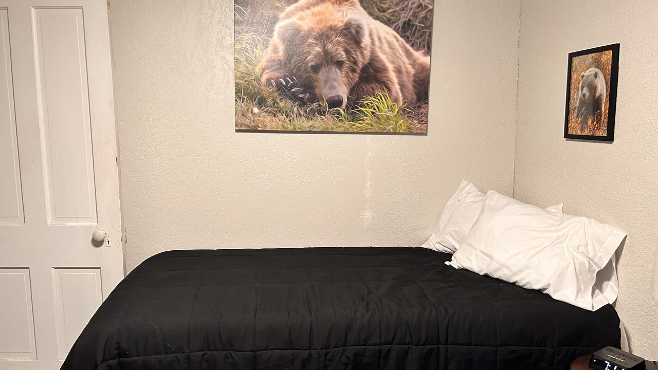 Photo of Bedroom in Smith County