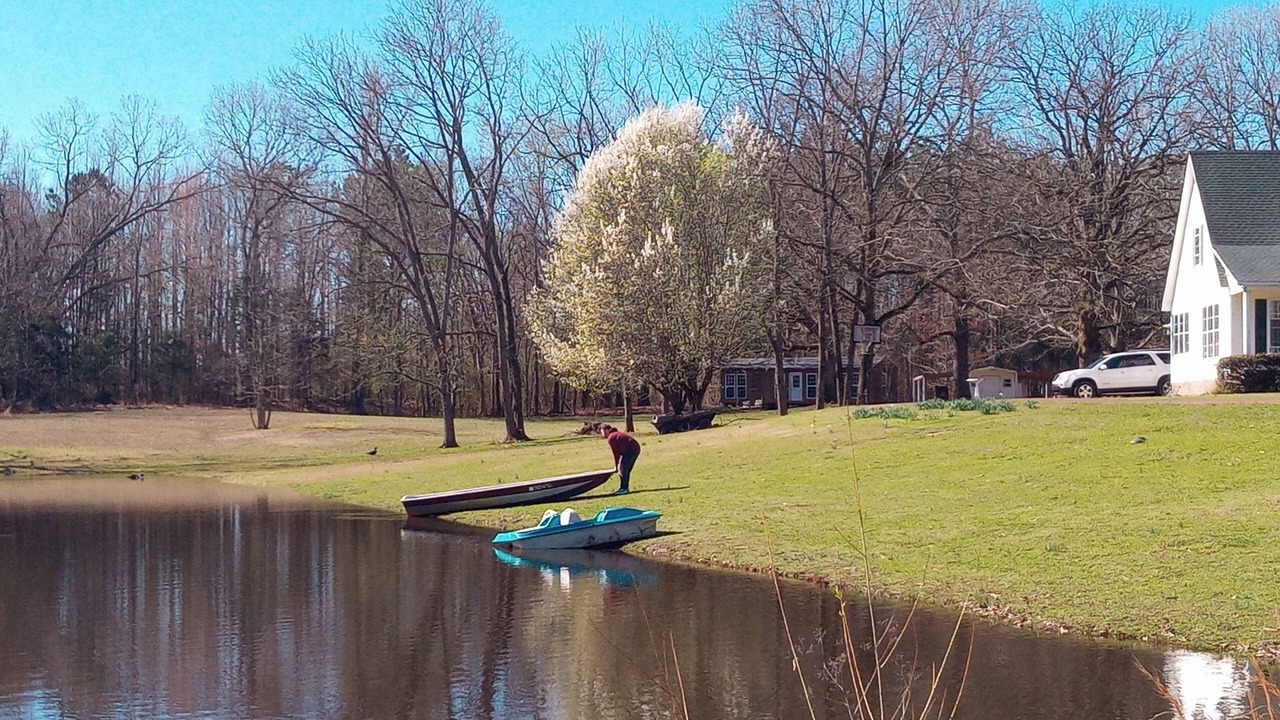 Photo of Others in Adamsville