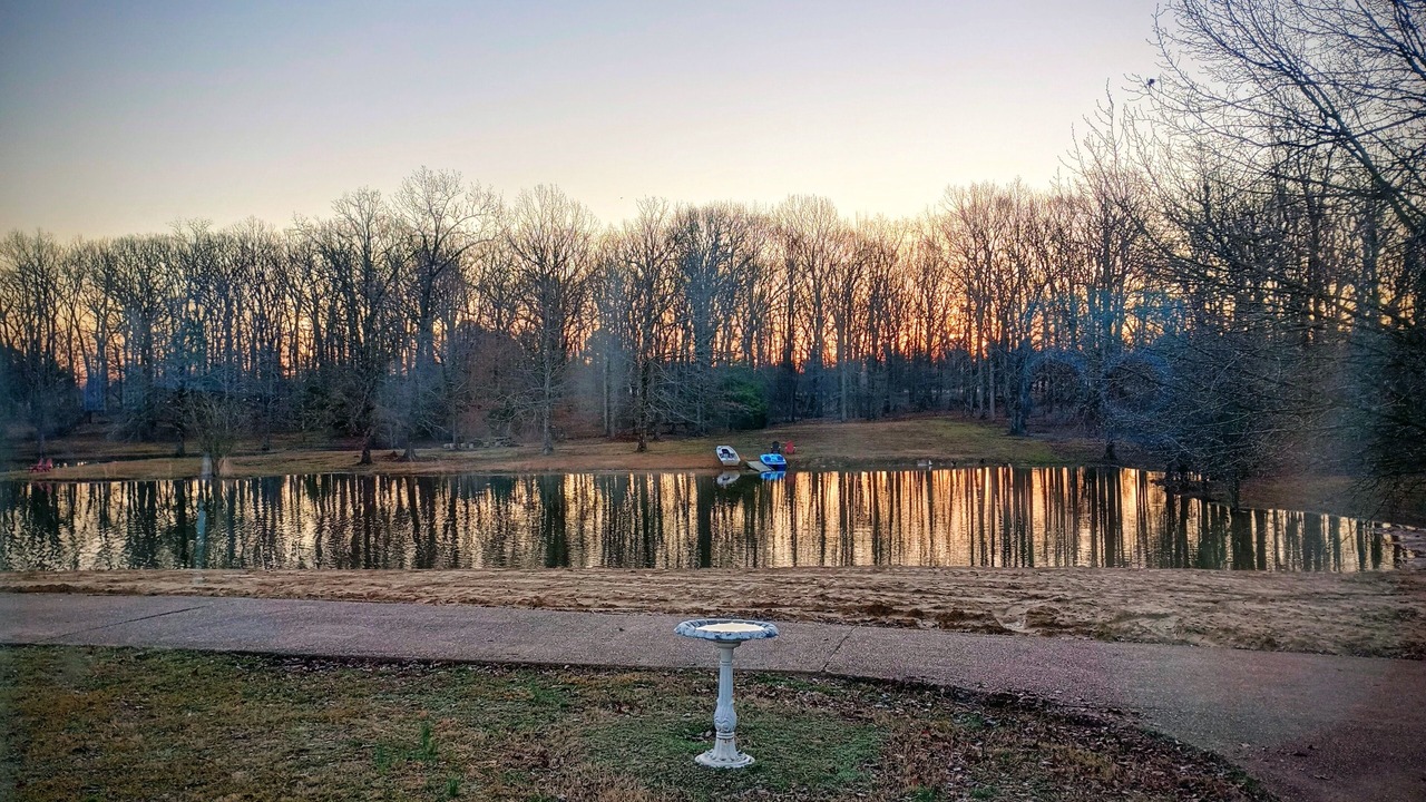 Photo of Outdoor in Adamsville