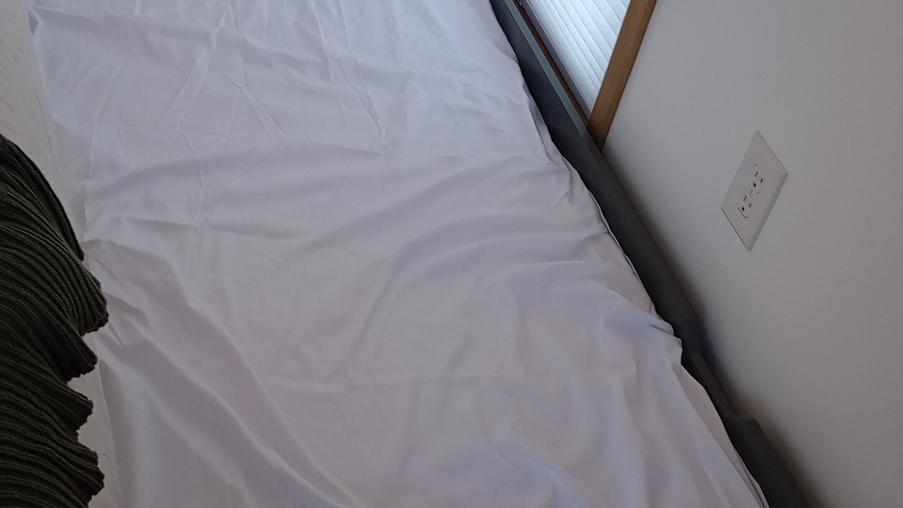 Photo of Bedroom in Adamsville