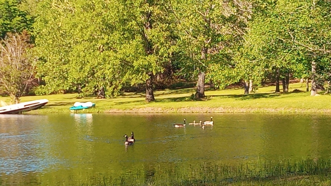Photo of Others in Adamsville