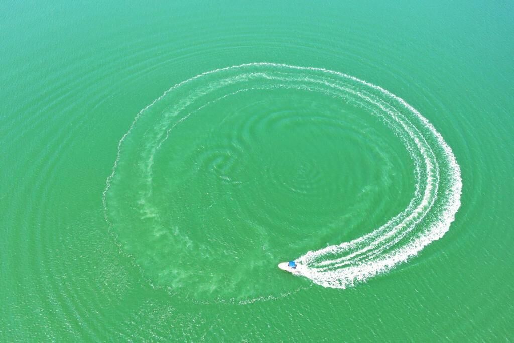 Photo of Outdoor in Morisset Park
