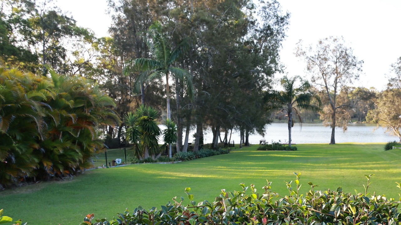 Photo of Outdoor in Morisset Park