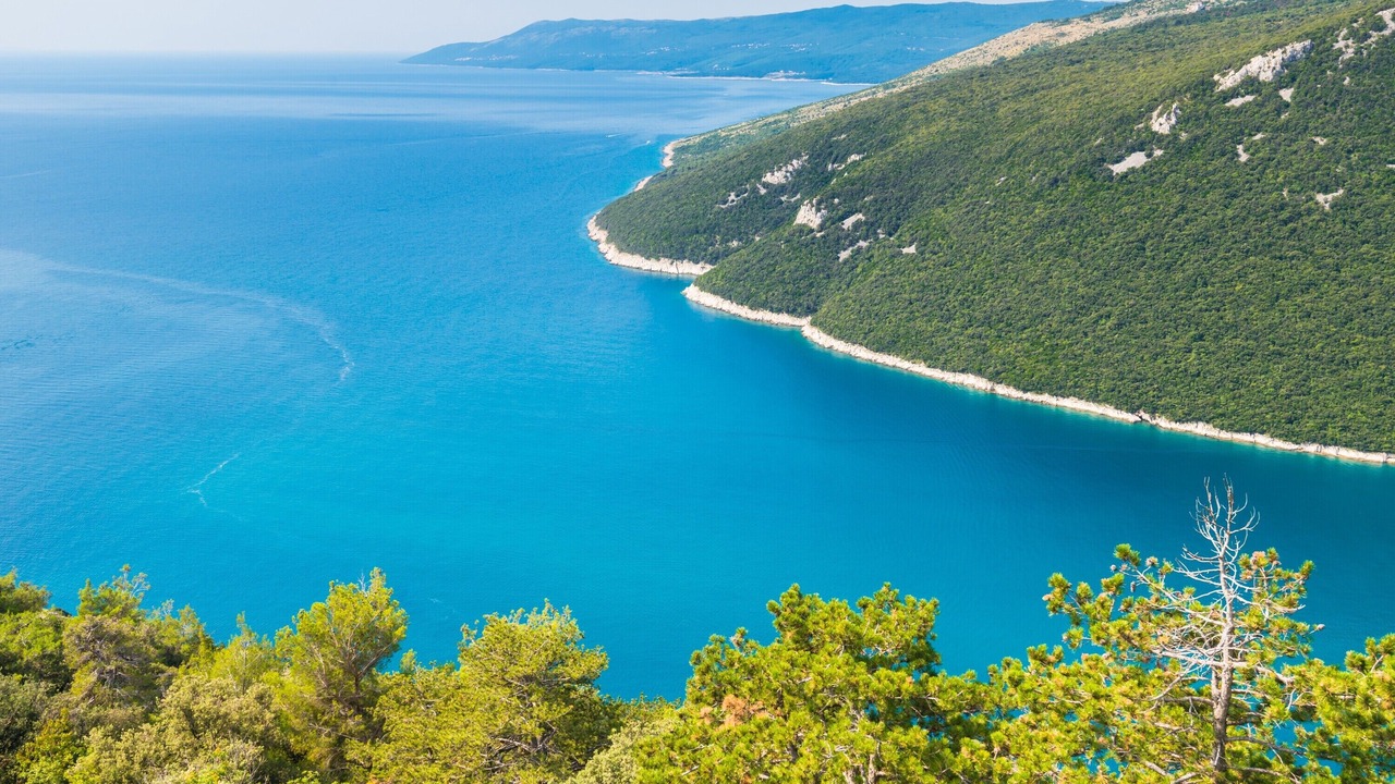 Photo of Others in Plomin