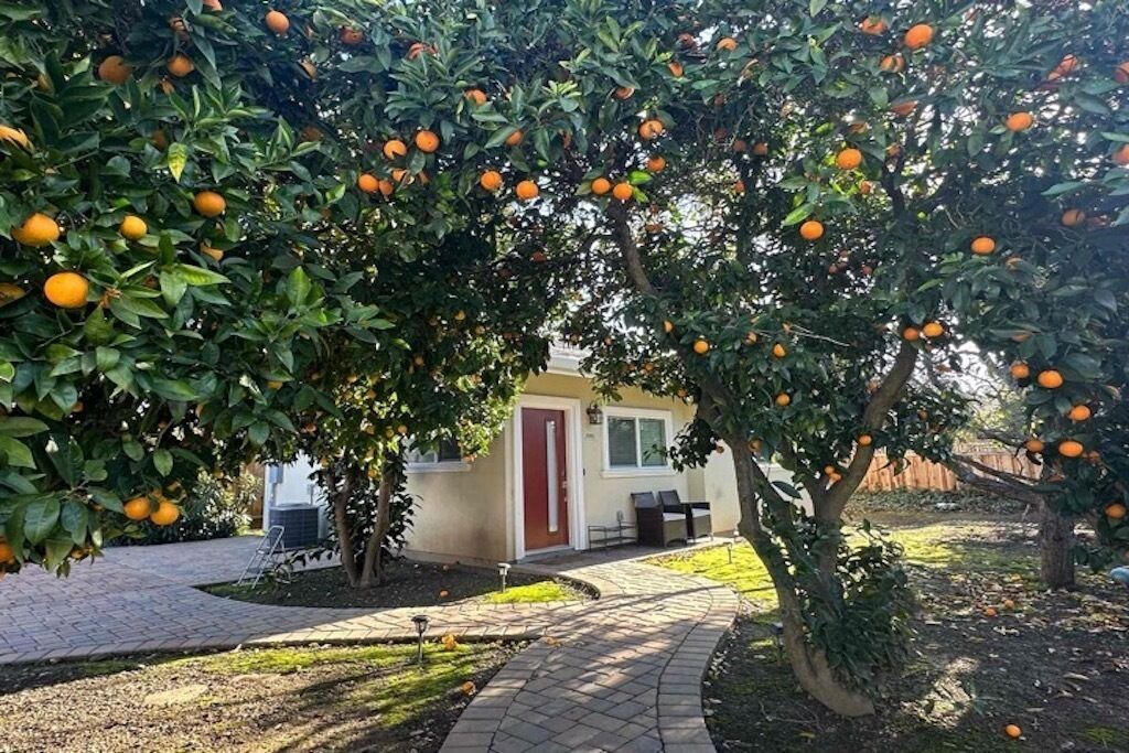 Photo of Outdoor in Mountain View