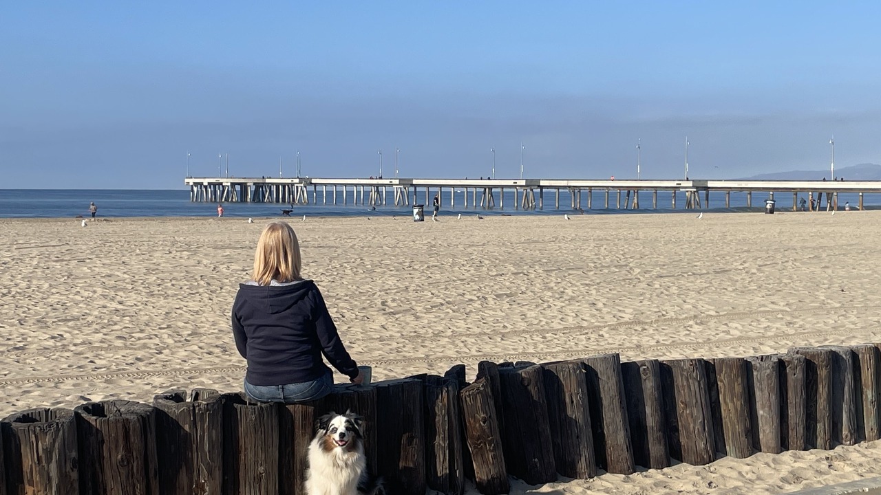 Photo of Others in Marina Peninsula