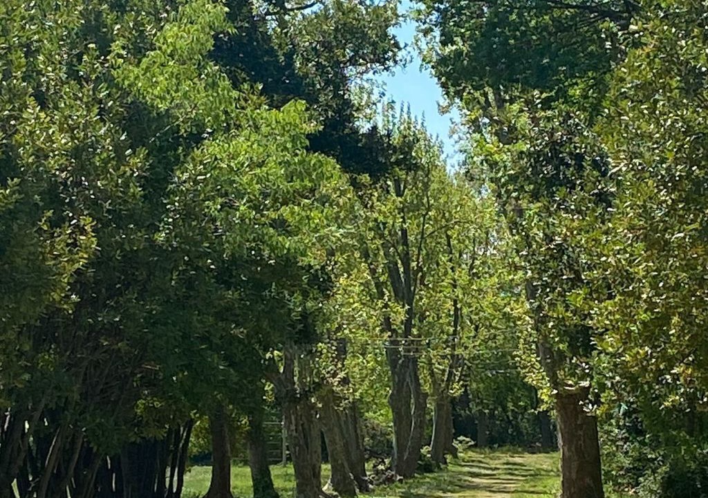 Photo of Outdoor in Azille