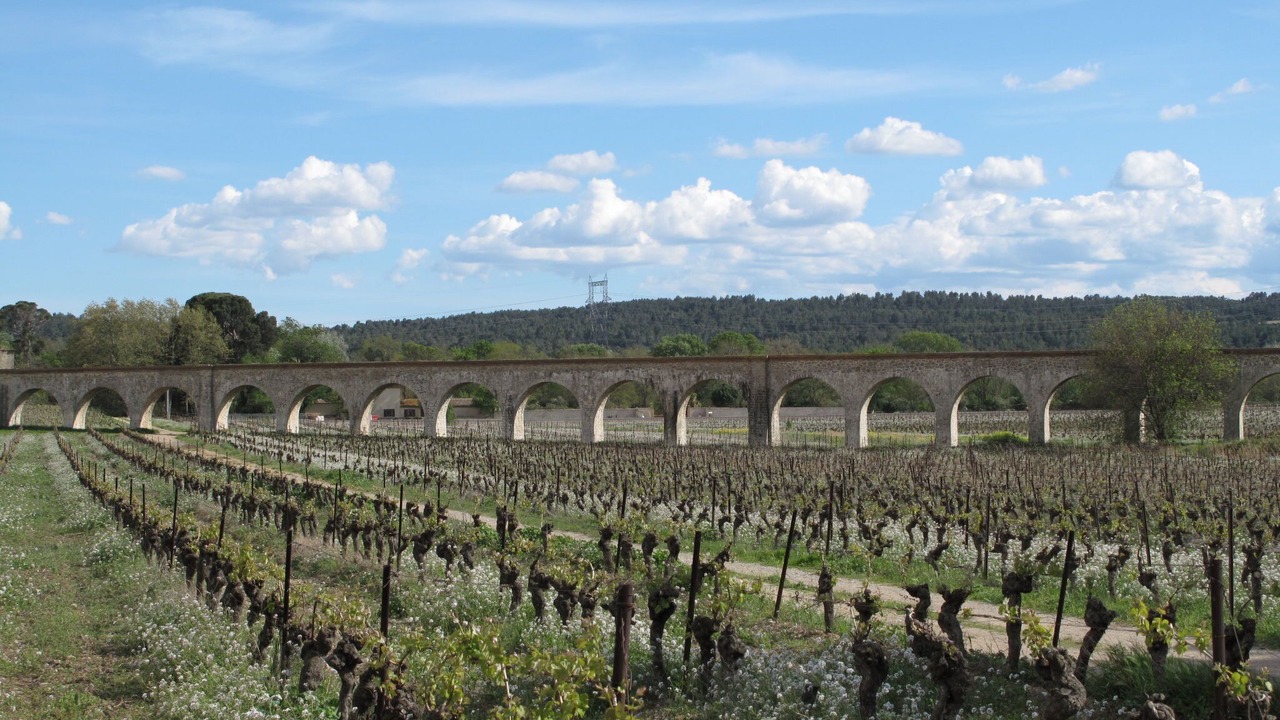 Photo of Others in Azille