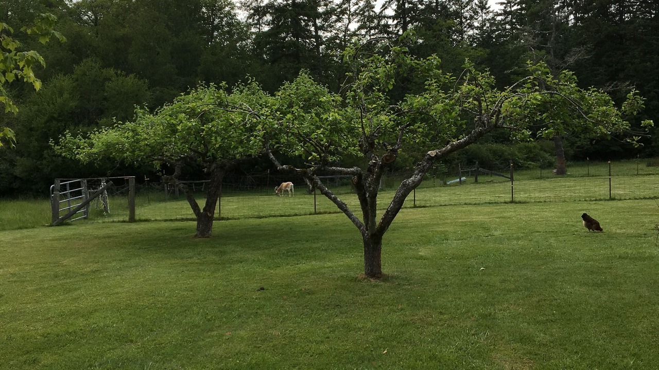 Photo of Outdoor in West Sound