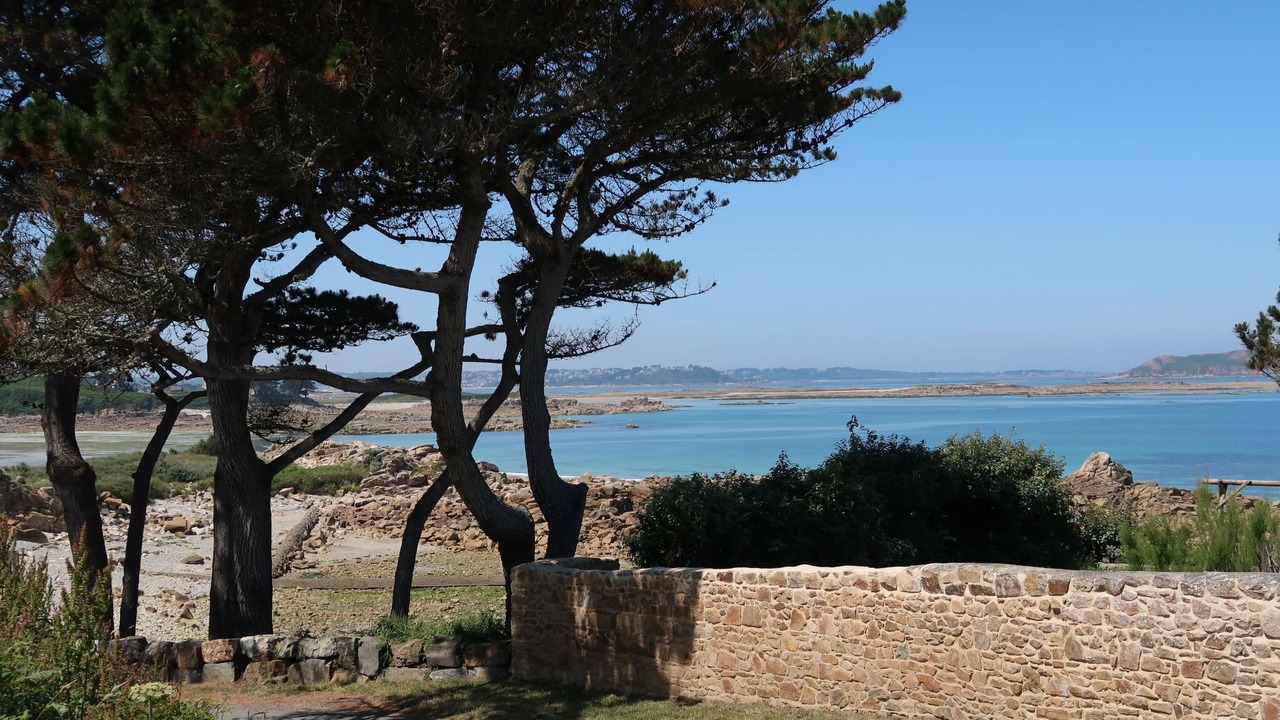 Photo of Others in Camlez