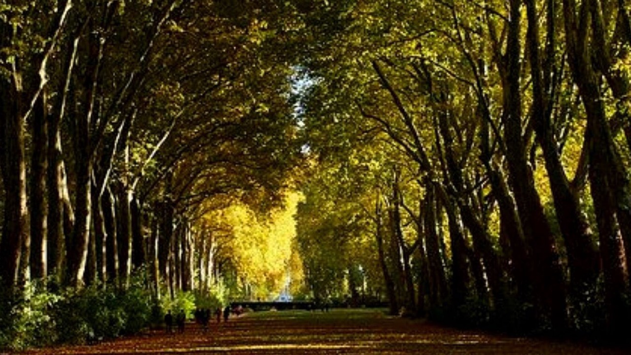 Photo of Others in Bourges