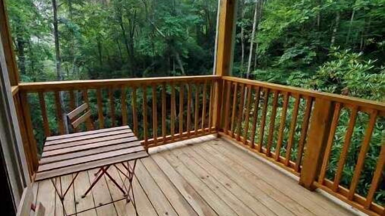 Photo of Outdoor in Pisgah Forest