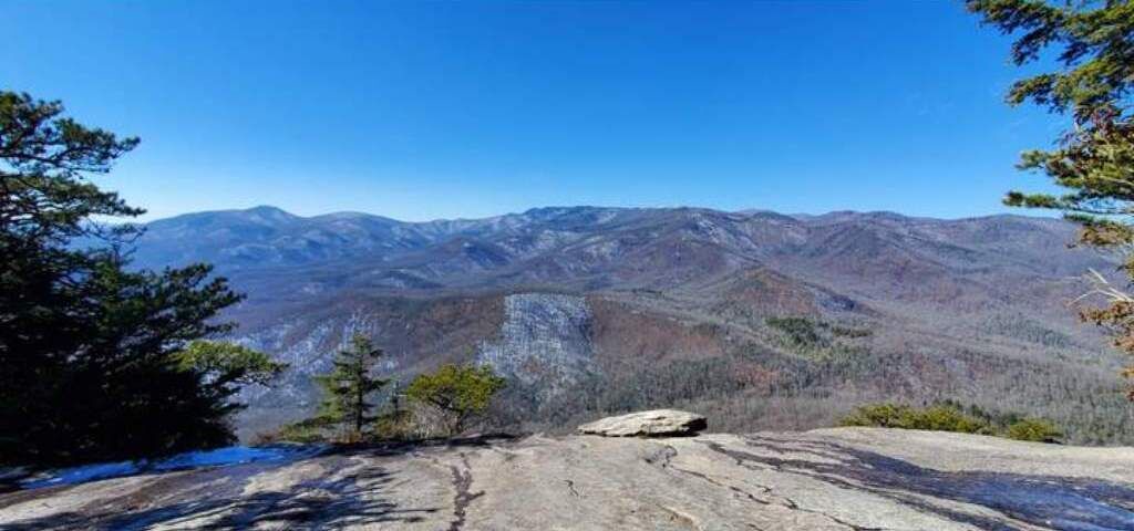 Photo of Others in Pisgah Forest