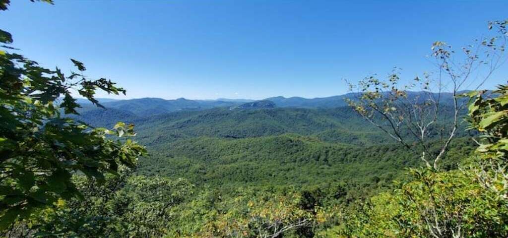 Photo of Others in Pisgah Forest