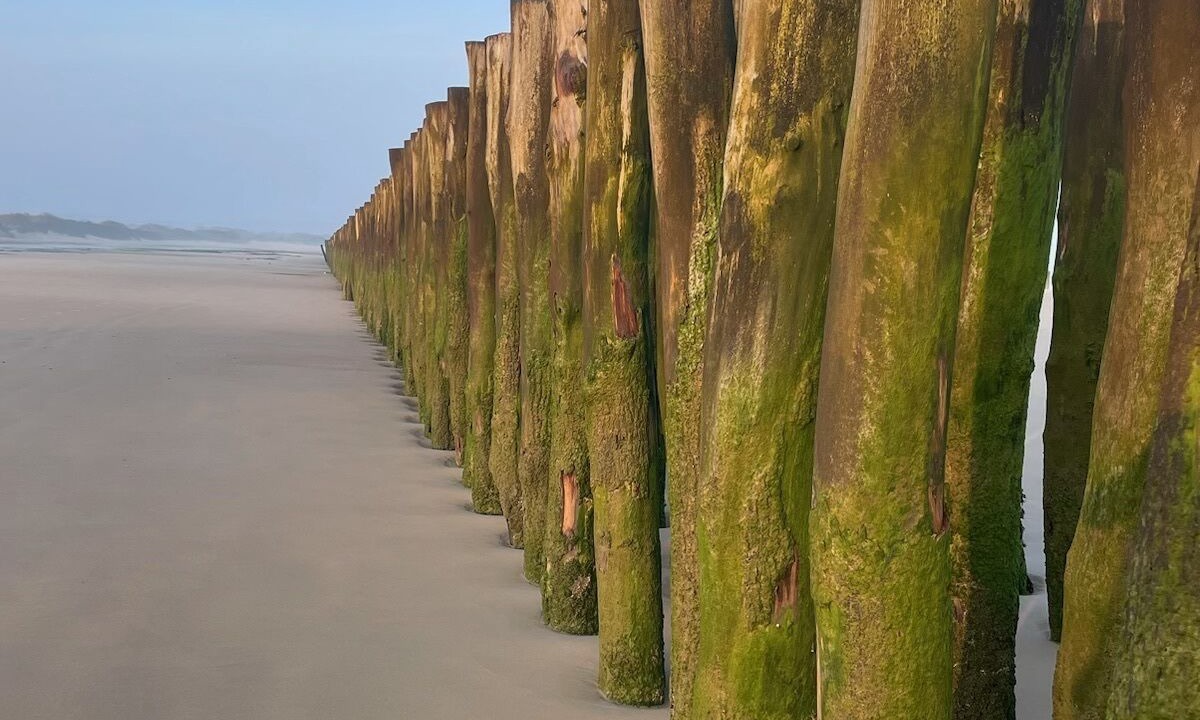 Photo of Others in Audresselles