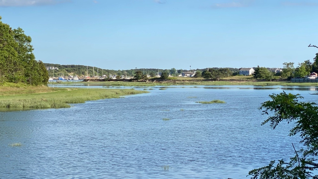 Photo of Outdoor in Indian Neck Heights