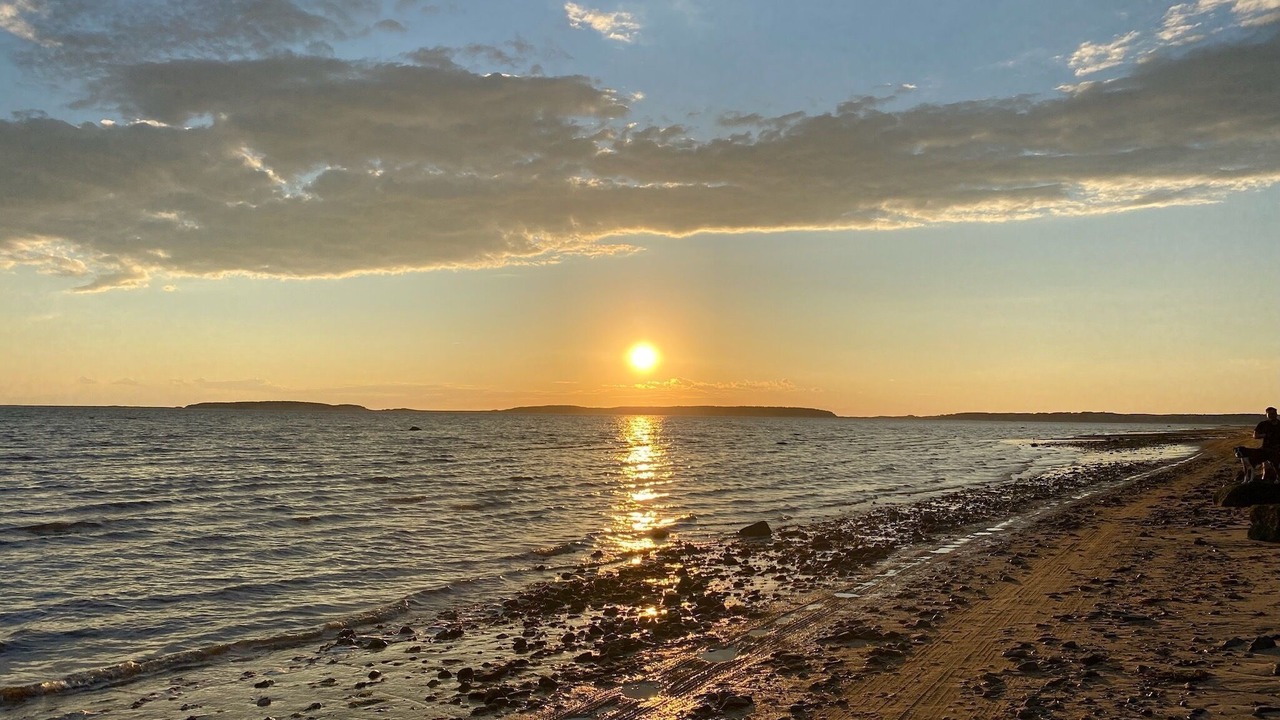 Photo of Others in Indian Neck Heights