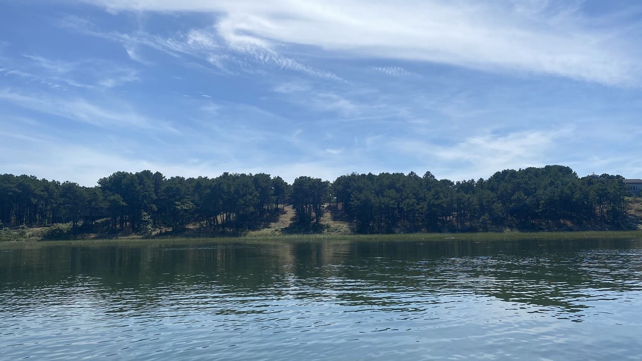 Photo of Others in Indian Neck Heights