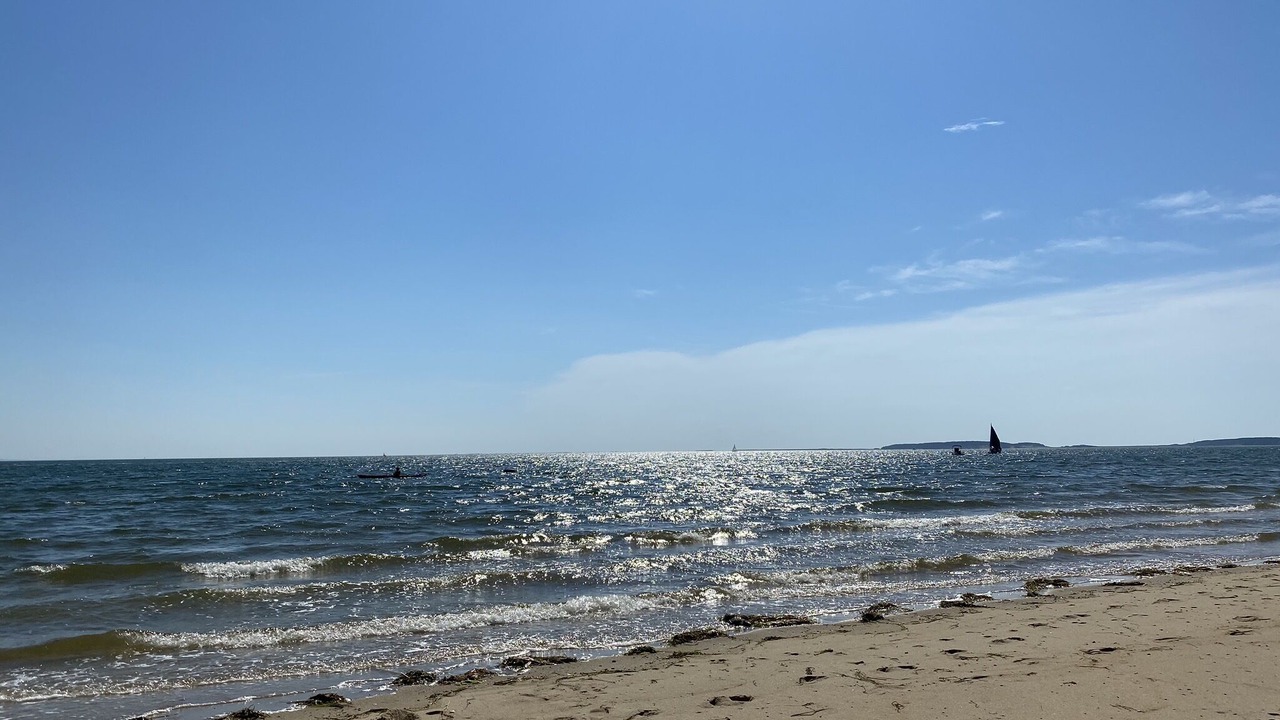 Photo of Others in Indian Neck Heights