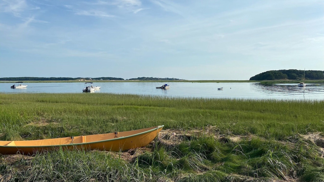 Photo of Outdoor in Indian Neck Heights